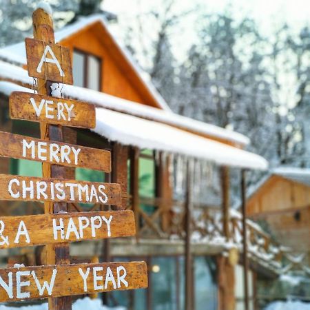 Hotel Eco House In Бакуріані Екстер'єр фото