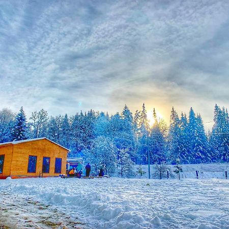 Hotel Eco House In Бакуріані Екстер'єр фото