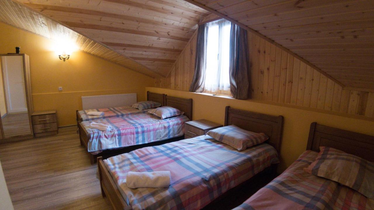 Hotel Eco House In Бакуріані Екстер'єр фото