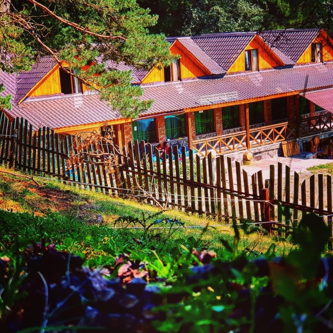 Hotel Eco House In Бакуріані Екстер'єр фото